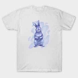 The Year of the Blue Water Rabbit 2023 T-Shirt